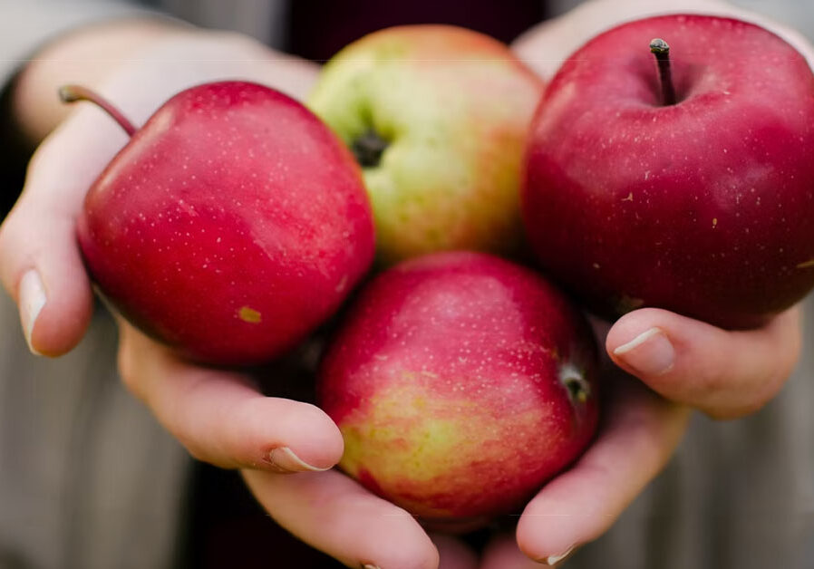 hands holding apples