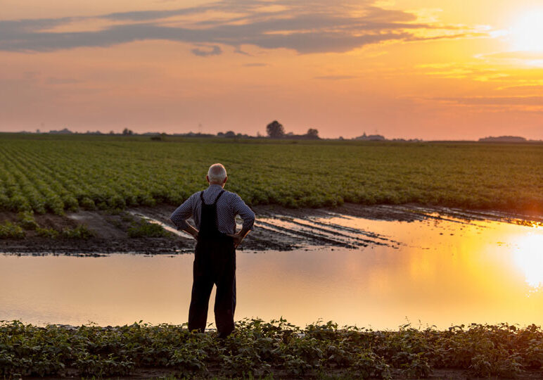 farmer looking at flooded field
