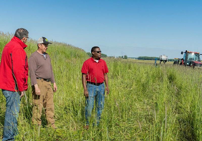 three farmers in hay field