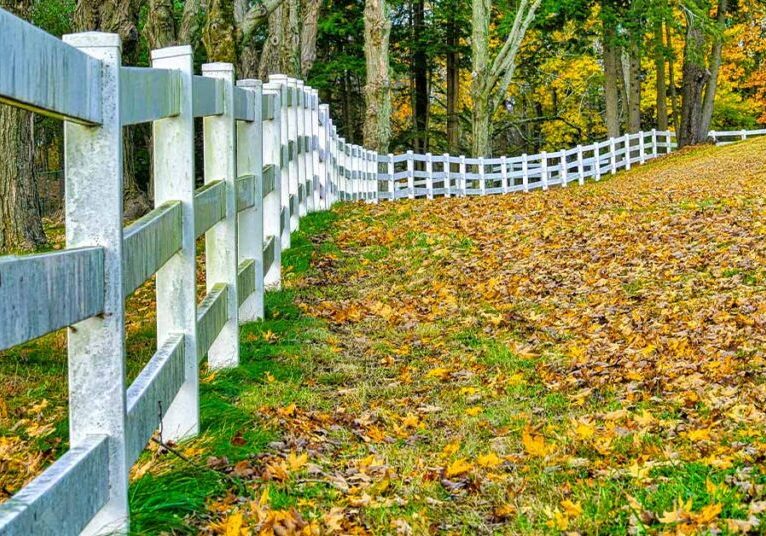 Featured-Image-Farmland_1200x628