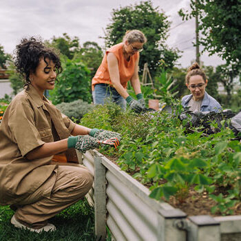women planting raised beds