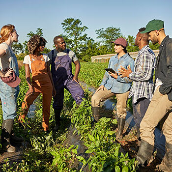 group of young farmers