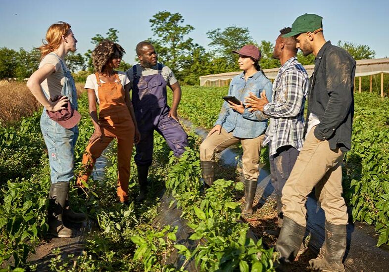 group of young farmers