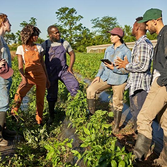 group of young farmers